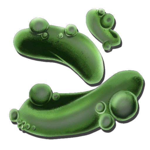 Reaper Pheromone Gland