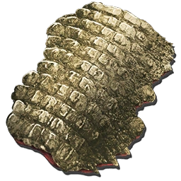 Sarcosuchus Skin