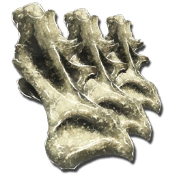 Sauropod Vertebra