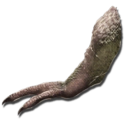 Tyrannosaurus Arm