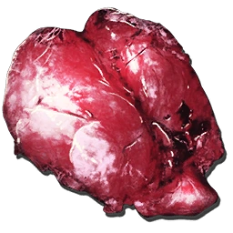 Yutyrannus Lungs