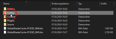 Config folder inside the Engine folder